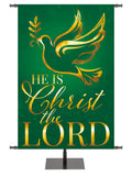 Wonders of Advent Christ The Lord