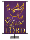 Wonders of Advent Christ The Lord