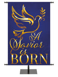 Wonders of Advent A Savior is Born