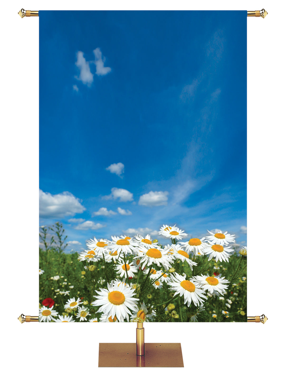 Daisies Custom Banner Background