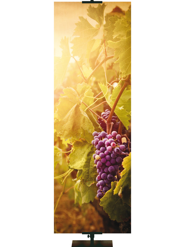 Custom Banner The Fruit of the Spirit Grapes