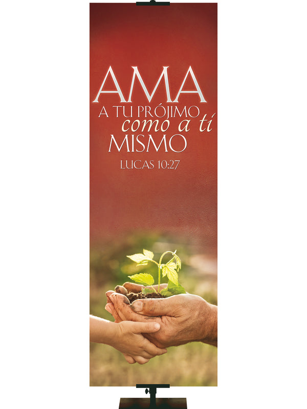 Spanish Expressions of Love - Love Your Neighbor