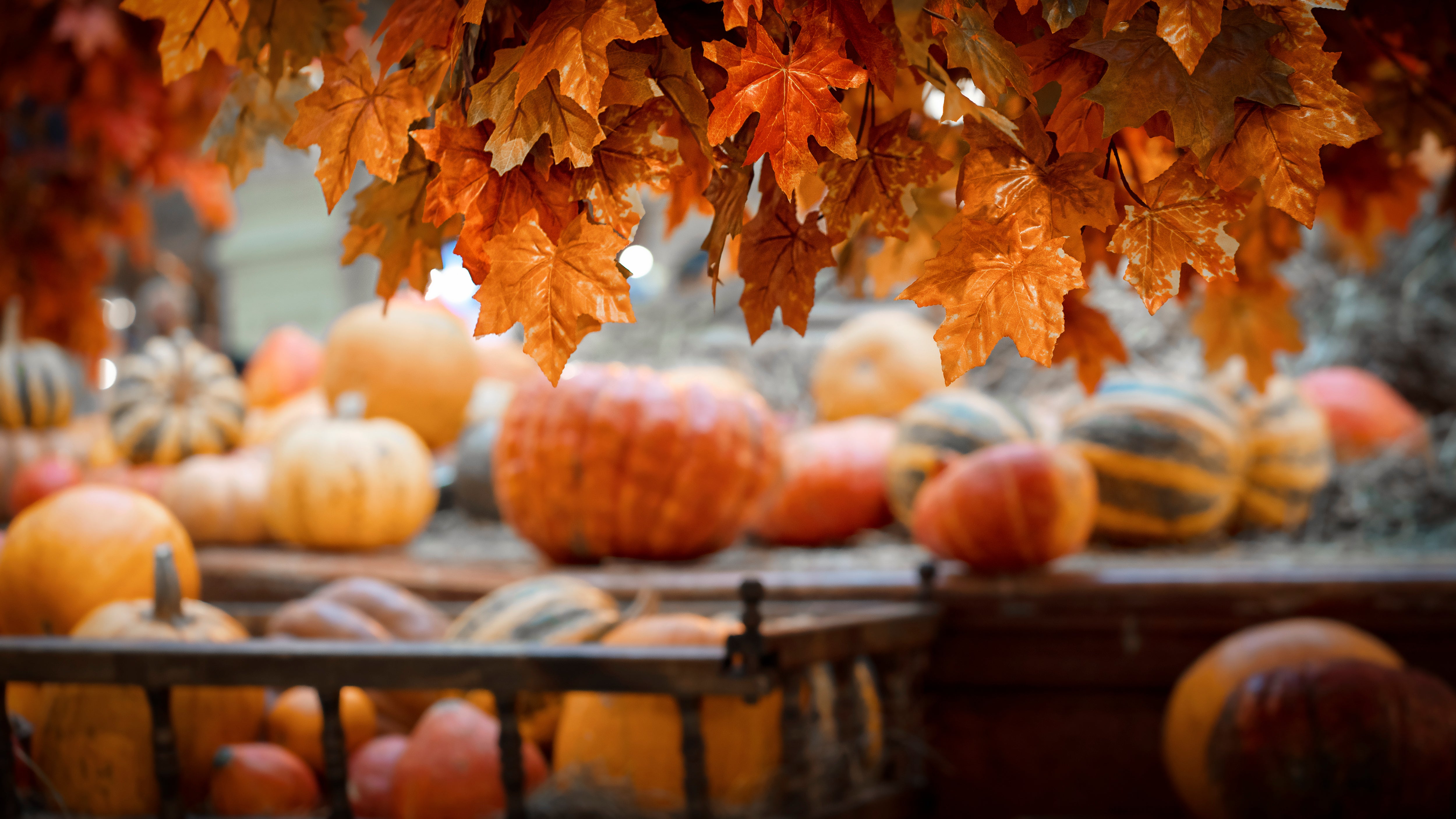 Five Church Fall Festival Ideas Your Community Will Love – PraiseBanners™