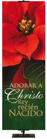 Adorar a Christo Rey ricien Nacido Church Banner in Spanish with Red Poinsettia Bloom on Green Background