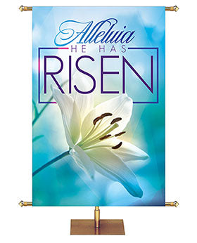 Alleluia He Has Risen on Church Banner for Easter with a pristine Easter Lily Bloom on a sky blue imagery background