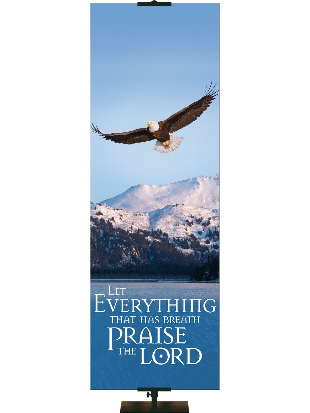 Irregular Creation Eagle (18 in x 5 ft, Pole Hems)