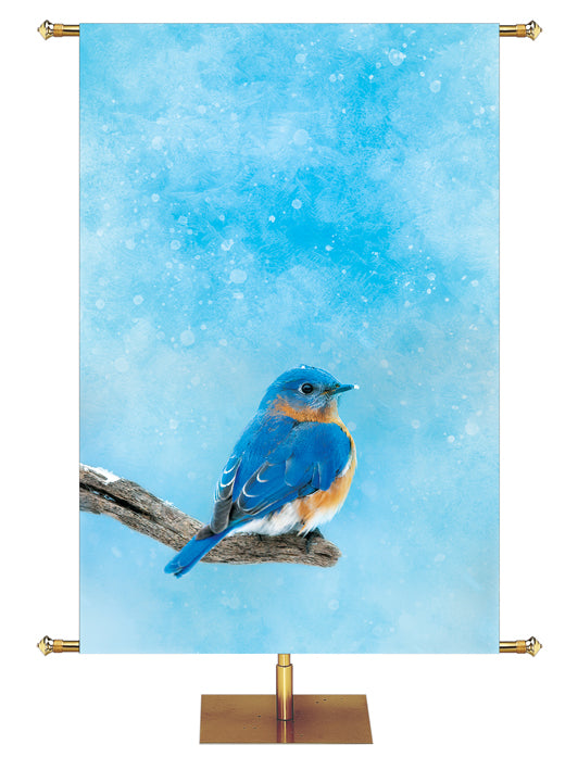 Bluebird perched on a winter branch Joyful Beginnings Custom Church Banner background