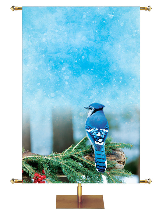 Blue Jay on pine branch with red berries Joyful Beginnings Custom Church Banner background