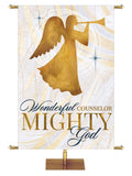 Wonderful Counselor Mighty God Echoes of Christmas