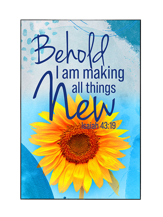 Framed Wall Art SEG Impressions of Grace Behold I Am Making All Things New Isaiah 43:19