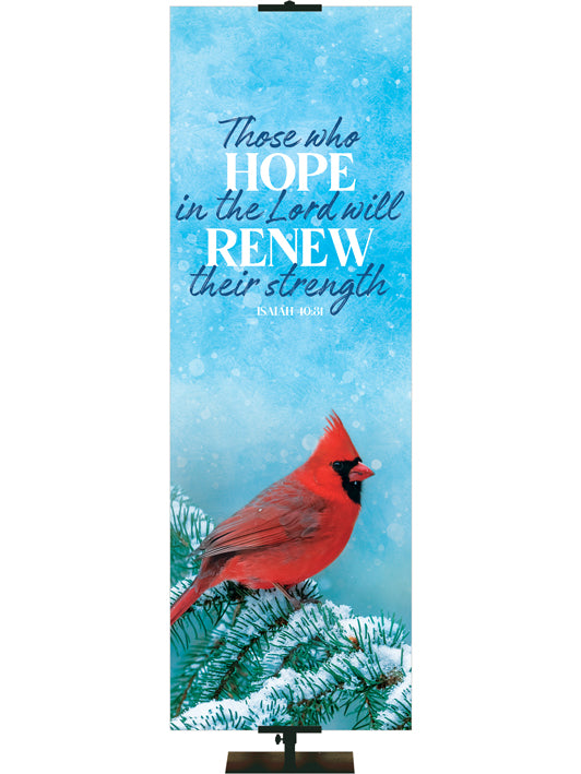 Those Who Hope in the Lord will Renew Their Strength Isaiah 40:31 Joyful Beginnings