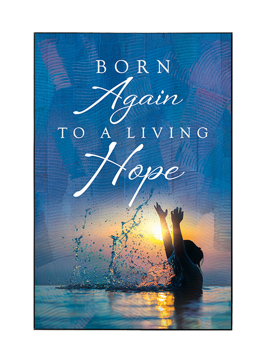 Framed Wall Art SEG Living Hope Born Again To A Living Hope