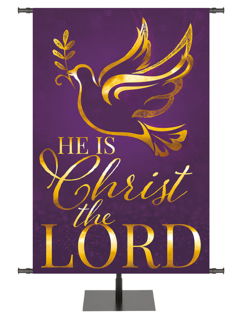 Wonders of Advent Christ The Lord