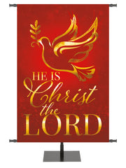 Wonders of Advent Christ The Lord