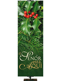 Spanish Colors of Christmas The Lord is Come - Christmas Banners - PraiseBanners