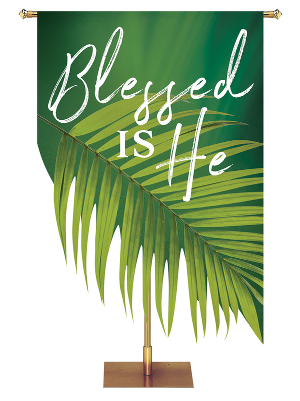 Contours of Easter Blessed is He Palm