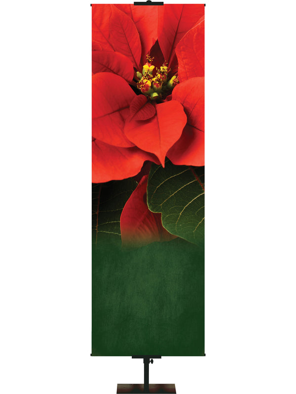 Colores de pancarta personalizada para el culto navideño Cristo Rey recién nacido