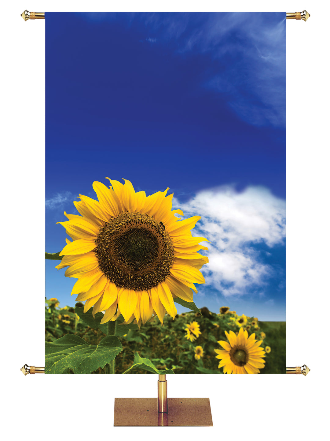 Sunflower Custom Banner Background