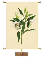 Custom Church Banner for Easter. White Easter Lily Blooms with Green Leaves and Buds on Yellow Banner