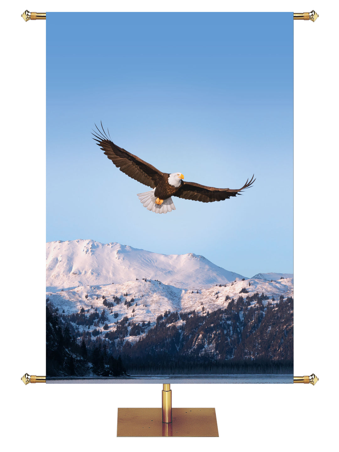 Custom Banner Background Eagle Soaring Over Snowcapped Mountains