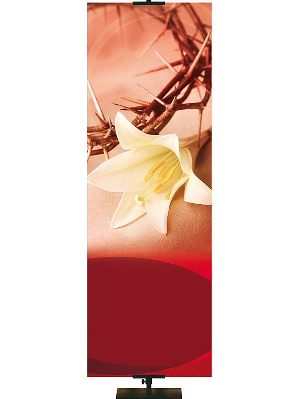 Banner personalizado Pasión de Cristo El Camino La Verdad La Vida