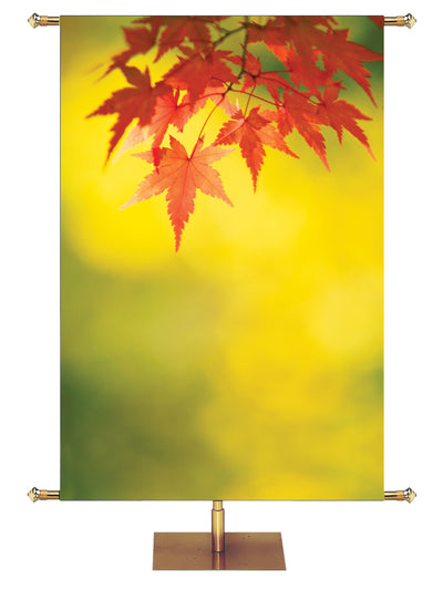 Custom Fall Banner Background with delicate autumn tree leaves