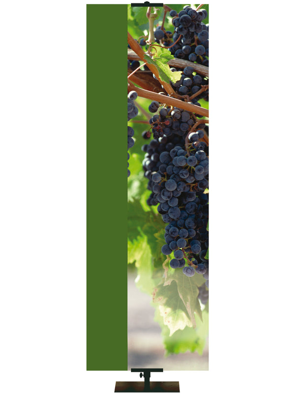 Custom Welcome Banner Grapes