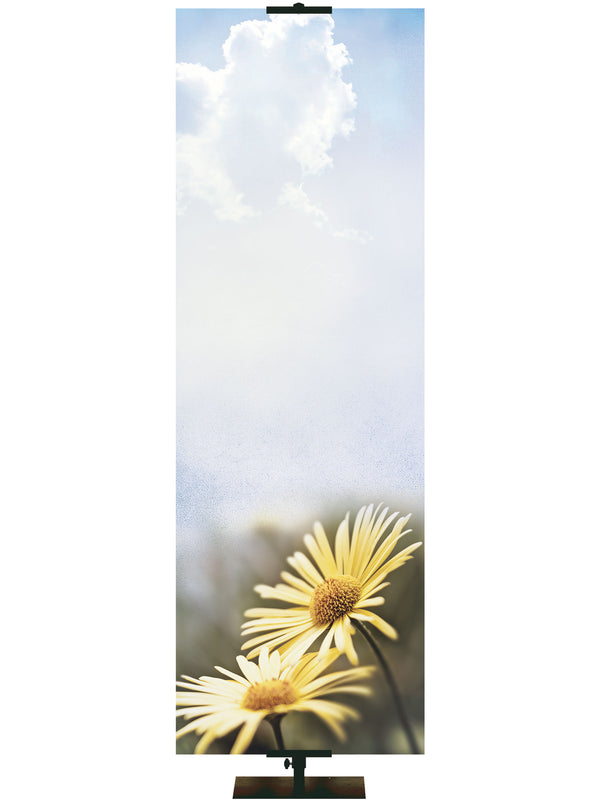 Custom Welcome Banner Daisy
