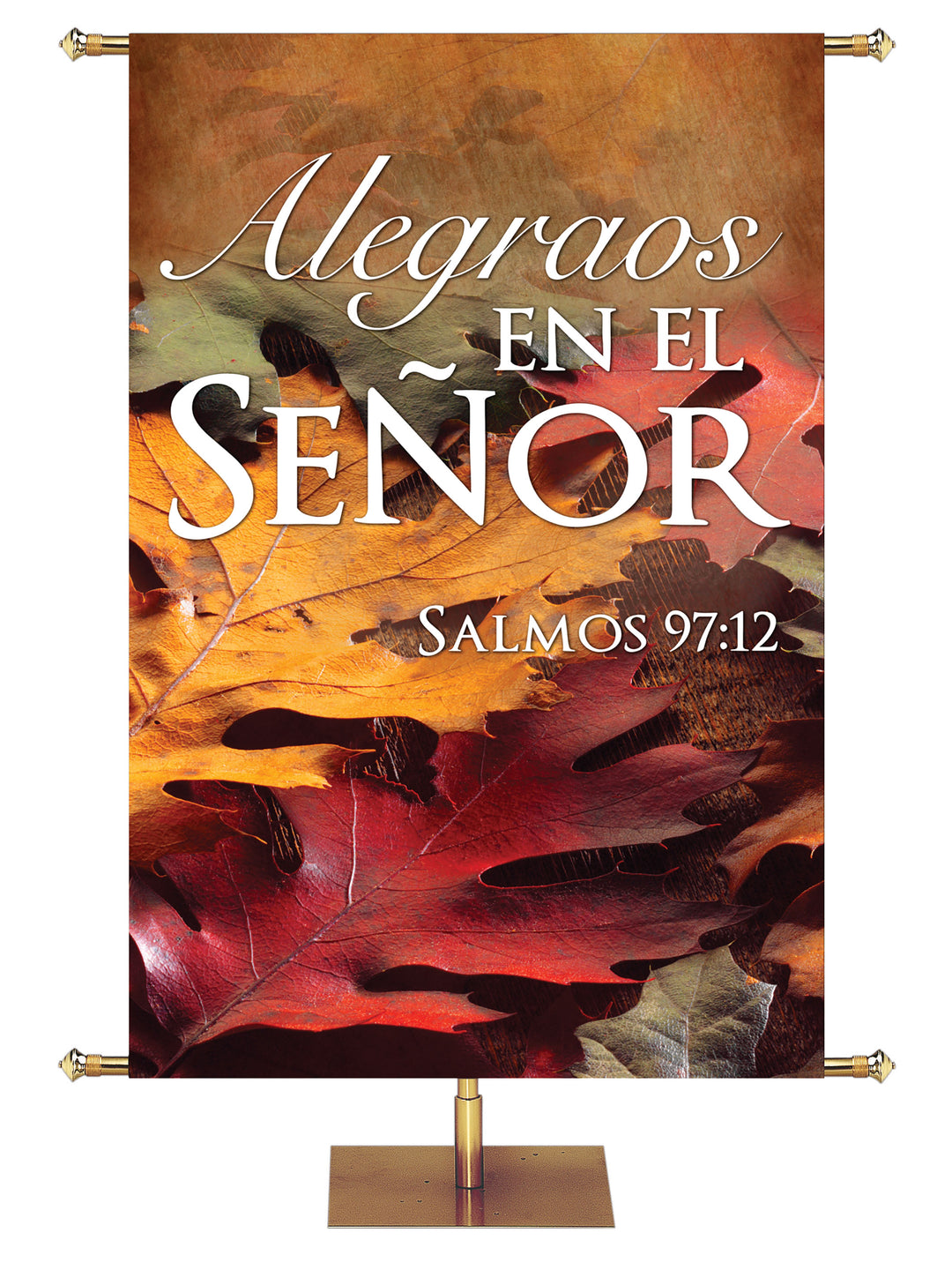 Spanish Fall & Thanksgiving Banner Rejoice In the Lord