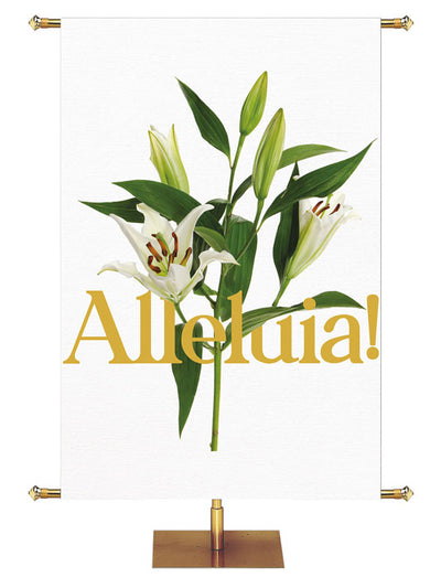 Church Banner for Easter Alleluia. Gold Lettering and White Easter Lily Blooms with Green Leaves and Buds on White Banner