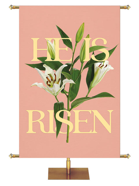 Church Banner for Easter He Is Risen. Gold Lettering and White Easter Lily Blooms with Green Leaves and Buds on Rose Gold Banner