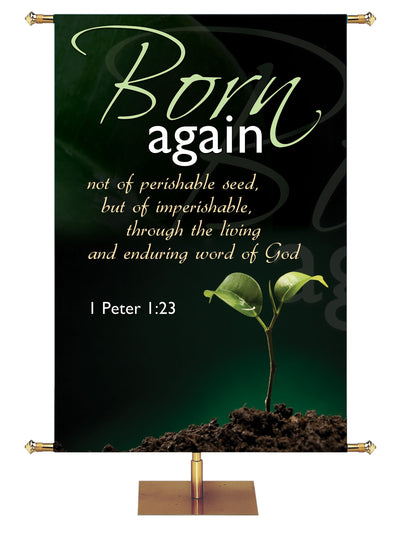 Born Again The Masters Touch Banner