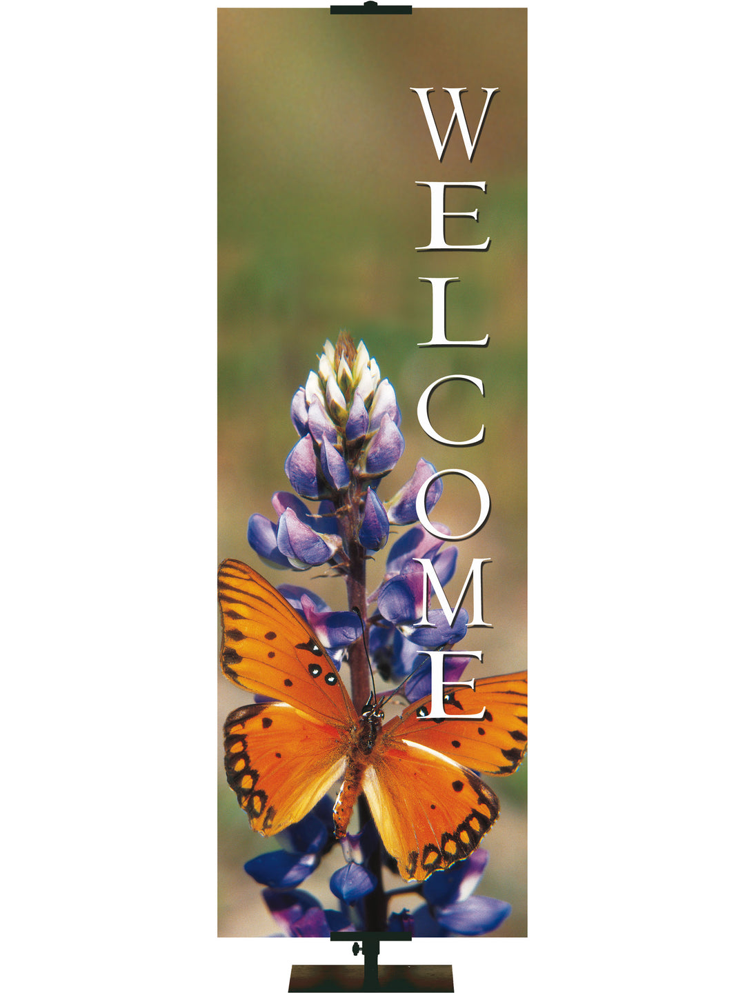 Butterfly Stock Welcome Banner