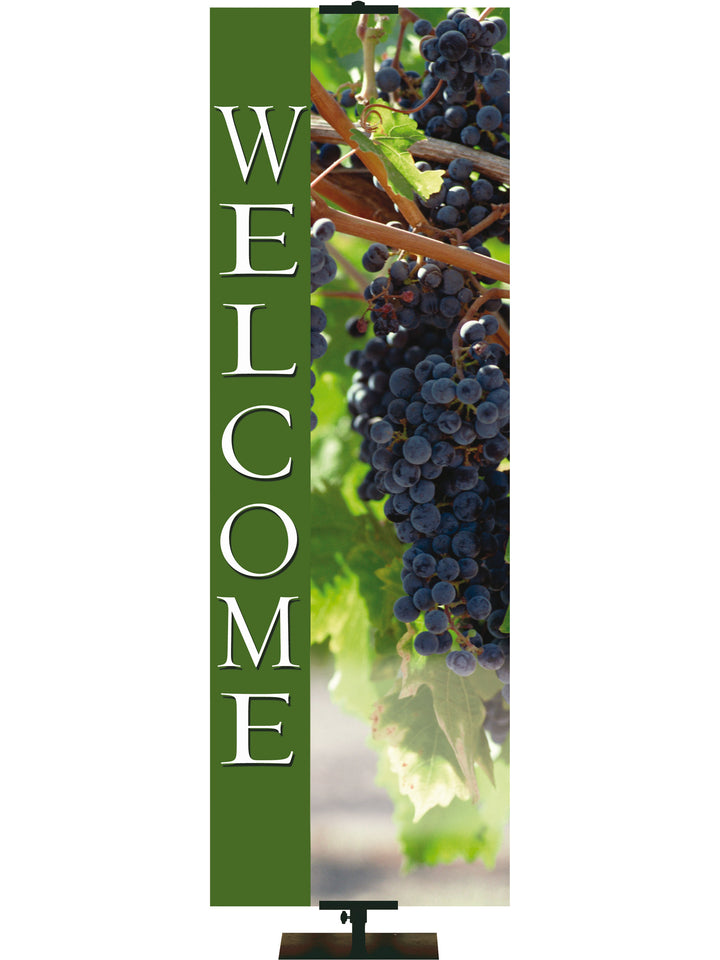 Grapes Stock Welcome Banner
