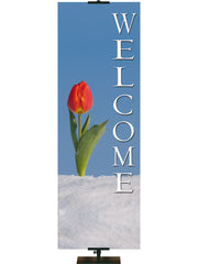 Tulip in Snow Stock Welcome Banner