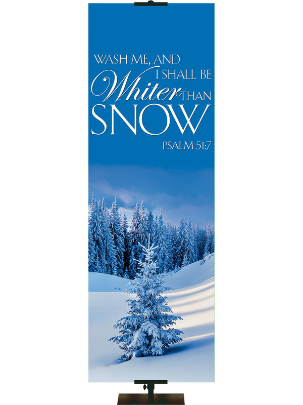 Portraits of Sacred Winter Whiter Than Snow A